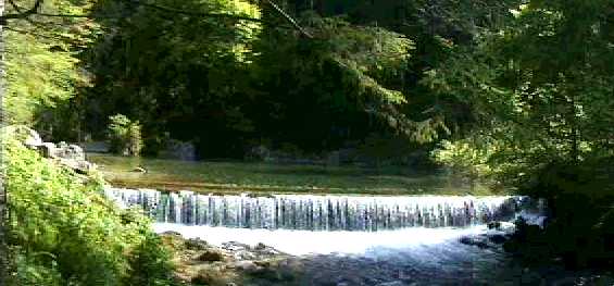 Kamni�ka Bistrica