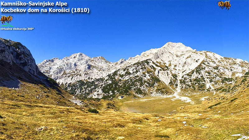 Korošica