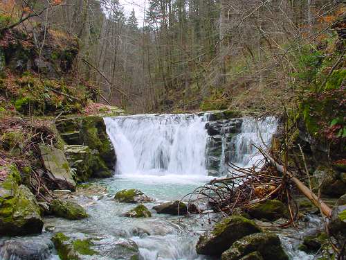 Celozaslonska prostorska slika - FULL SCREEN 360° Surround Photography